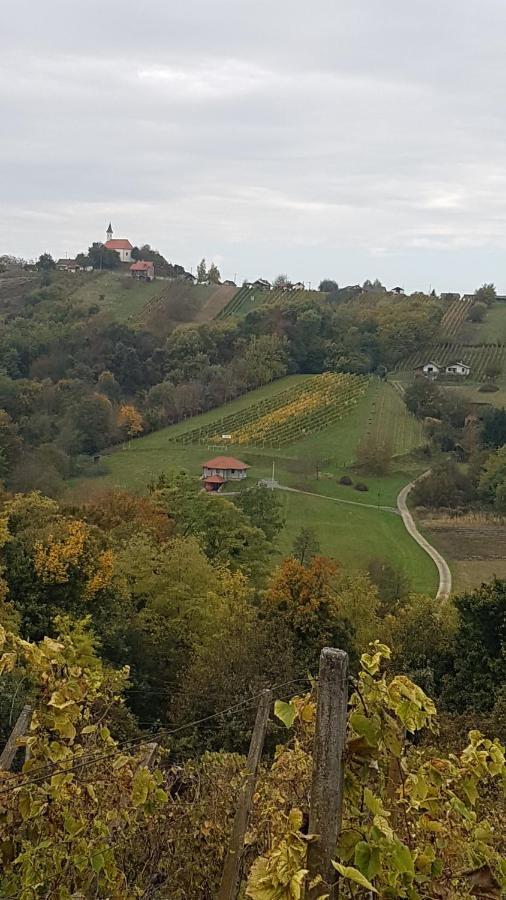 Willa Kuca Za Odmor Nina Sveti Martin Na Muri Zewnętrze zdjęcie